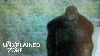 1,000 POUND SASQUATCH IGNITES FEAR IN A SMALL TOWN (Season 2) | MonsterQuest | The UnXplained Zone