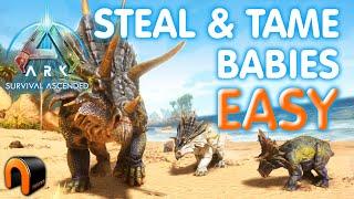 Ark Survival Ascended STEAL & TAME BABY DINOS!