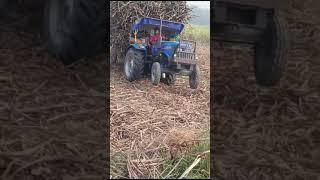 #tractorvideo #farming #shortvideo #viralvideo #agriculture #tractor #mygardenlife