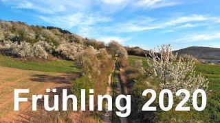 Frühling 2020