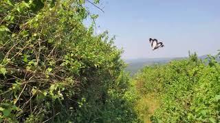 Virtual Hike, Uganda