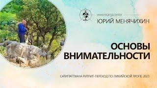 Основы внимательности. Юрий Менячихин