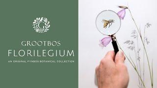 Discover The Untold Story of The Grootbos Florilegium 