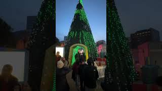 Christmas in Park @San Jose