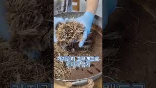 집에서 쉽게 대파 키우기-홈가드닝 아파트정원ㅡGrow green onions easily at home- HomeGardening#shorts