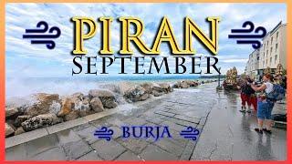 Pira v burji september 2024