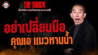 อย่าเปลี่ยนมือ คุณเอ แมวหานน้ำ l TheShock13