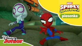  Sieci | Spidey i Super-Kumple | Disney Junior Polska