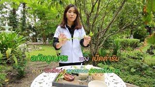 ริดสีดวง สลายด้วย เพชรสังฆาต [2560]