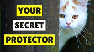 9 Signs Your Cat is PROTECTING You