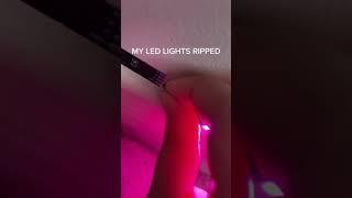 Led Strip Tiktok iatemyd0ggggg