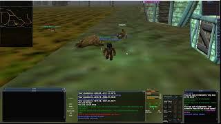 It's been a while... Everquest P99 (Project 1999) Green Sever