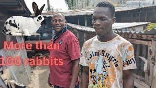 rabbit farming in nigeria #rabbit #rabbitfarming #rabbitnigeria #viral