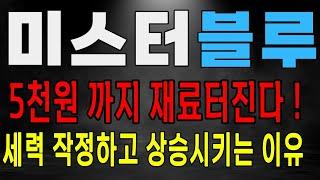 미스터블루 5천원 재료 터진다! 세력 작정하고 상승시킨다! 미스터블루 주가 전망
