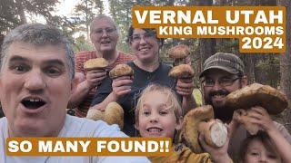 Epic Vernal Utah Mountains King Mushroom Hunt 2024 - so many found!!