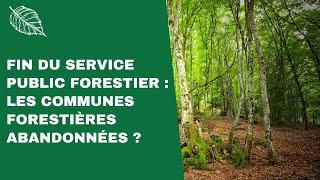 Tout comprendre sur le démantèlement de l'Office National des Forêts (conférence en ligne)