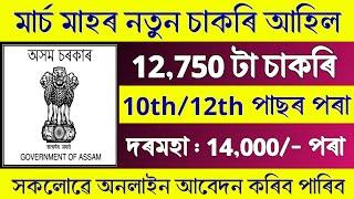 মাৰ্চ মাহৰ 12, 750 টা চাকৰিৰ খবৰ আহিল - Job in assam || Assam job news today