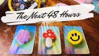 ️ The Next 48 Hours From When You See This | Pick a Card & PENDULUM