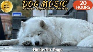 20 HOURS of Dog Calming MusicGentle Sounds for Nervous DogsRelieve Separation Anxiety⭐Healingmate