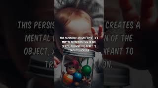 The Neuronal Code for Object Permanence #brain #science #neuro #neuroscience #biology #facts #scienc