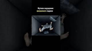Сон и наука! интересные факты о сне
