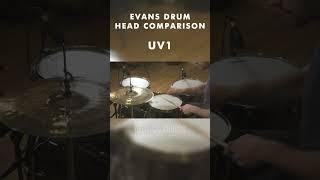 What Are The Best Evans Drum Heads?
