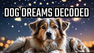 Exploring The Mysterious World Of Canine Dreams