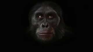 L'evoluzione della nostra specie in 90 secondi
