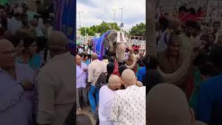 Tirumala Tirupati Temple Elephant #video #tirupati #shorts