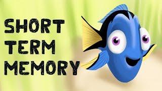 Short Term Memory (Free Test + Examples)