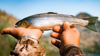 We took a 50 MILE boat journey to fish a SECRET TROUT fishing paradise!