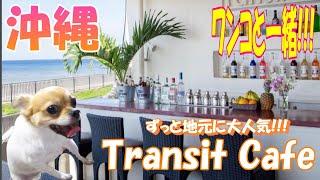 地元にず~っと人気の海辺のカフェ【Transit Cafe】【沖縄旅行】【犬】【ペット可】【食事】