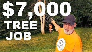 $7,000 TREE REMOVAL JOB!