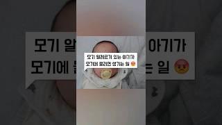 모기알레르기 있는 아기 모기 물리면 생기는 일 skeeter syndrome in baby