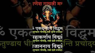 #bhakti #daily #mantra #dailyslokas #sk10 #ganesh #ganpati #ganeshgayatri mantra #gayatrimantra