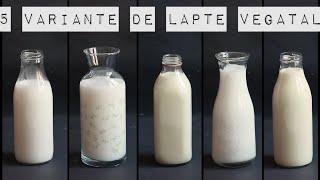 5 Variante de Lapte Vegetal! Lapte de migdale! Lapte cocos! Lapte susan! Lapte Ovaz! Lapte Soia!