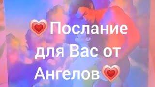 Послание для Вас от Ангеловотношения #miollife #oracle #oraclecards #tarot #online #newvideo #new