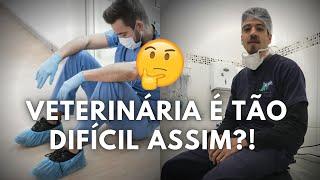 A Faculdade de Medicina Veterinária é tão DIFÍCIL assim?! Entenda nesse vídeo!