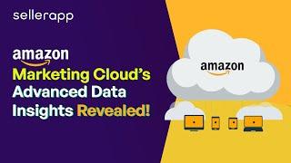 Amazon Marketing Cloud: Manage Your Advertising Budget Effectively