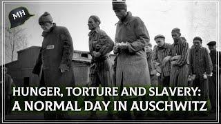 The life of the PRISONERS in the CONCENTRATION CAMPS of Nazi Germany