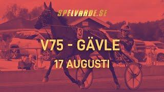 Uppsnack V75 Gävle 17/8