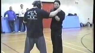 Wing Chun & Ju Jitsu - Samuel Kwok & Carlson Gracie