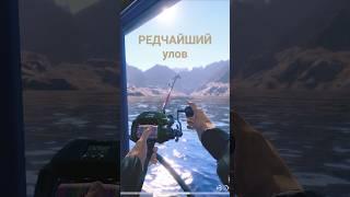 РЕДЧАЙШИЙ УЛОВ 3aekkk в РР4 Русская Рыбалка 4 #shorts #рр4 #тунец #русскаярыбалка4 #акула #трофей