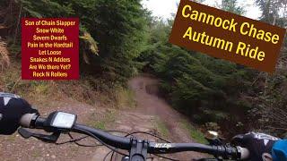 Follow the dog - Autumn Ride - Cannock Chase mtb