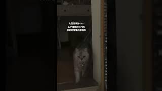 世界奇闻：到底是咪咪还是咕噜？ #history