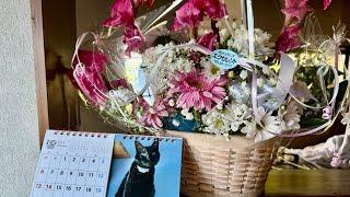 猫りんちゃんにお花が届きました/古民家。Flowers arrived at the old house for Neko Rin-chan.