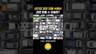 과연 찾을 수 있을까? #탐정들의영업비밀 #갈매기탐정단 #이상민탐정 #이성우탐정 #사람찾기 #증거수집 #탐정사무소