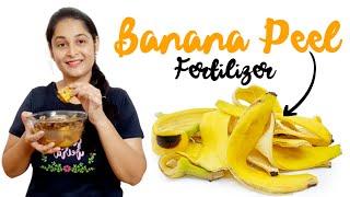 Banana Peel Fertilizer How to make Banana Peel Fertilizer केले के छिलके की खाद  #fertilizer #plants