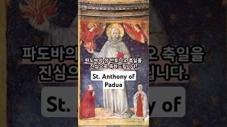 기적과 회개의 설교자, 파도바의 성 안토니오 이야기