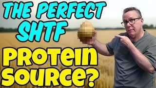 Why PLANTS Might Be Your ONLY Protein Source in 2025?